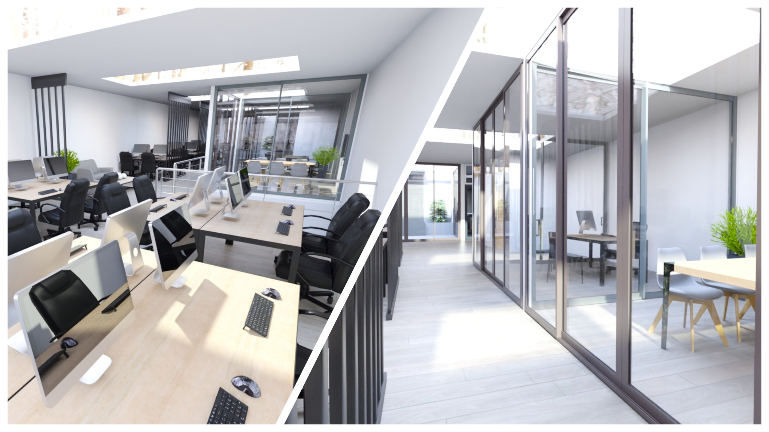 Poryecto visual de la oficina de EviSane